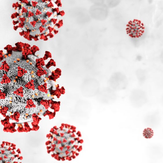India reports 2 380 new coronavirus